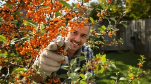 Cet arbre fruitier oublié donne des récoltes incroyables, et presque personne n’y pense encore