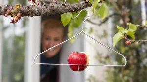 Il plie un cintre en métal en 3 minutes : la technique gratuite pour créer une mangeoire à oiseaux