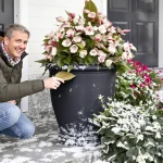 J’ai choisi cette plante, et mon entrée est devenue la plus admirée du quartier