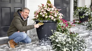 J’ai choisi cette plante, et mon entrée est devenue la plus admirée du quartier
