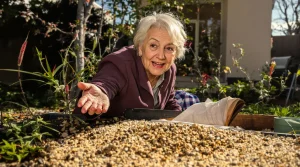 Oubliez les massifs compliqués : ces graines increvables semées en mars font un paradis fleuri jusqu’aux gelées